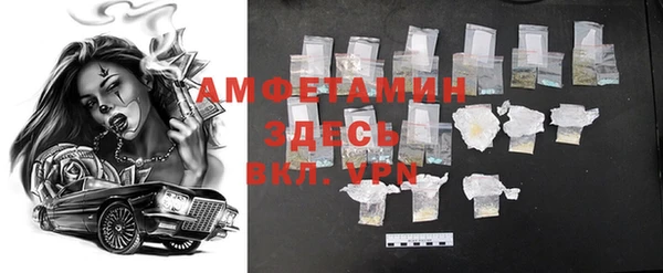 молекула духа Алексин