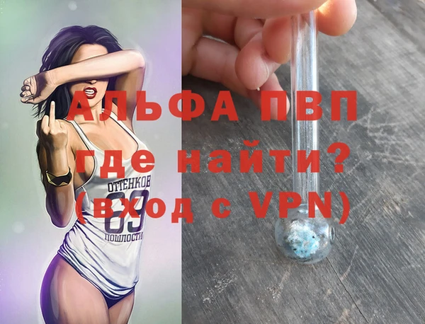 молекула духа Алексин