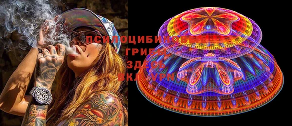 молекула духа Алексин