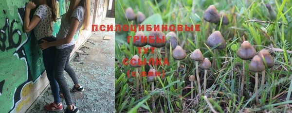 молекула духа Алексин